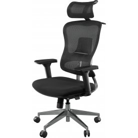 Компьютерное кресло Expert Ergo Fly