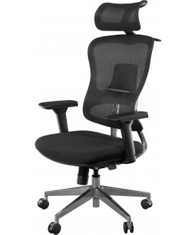 Компьютерное кресло Expert Ergo Fly