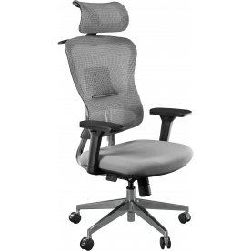 Компьютерное кресло Expert Ergo Fly