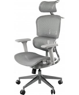 Компьютерное кресло Expert Ergo Sail