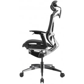 Компьютерное кресло Gt Chair Dvary X Pro