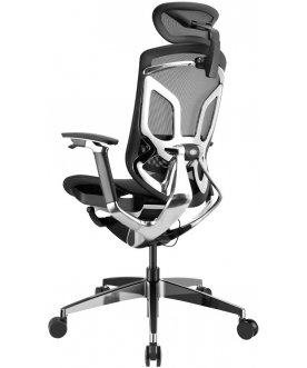 Компьютерное кресло Gt Chair Dvary X Pro