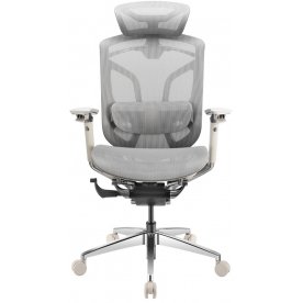 Компьютерное кресло Gt Chair Dvary X Pro