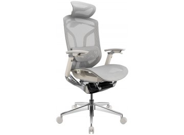 Компьютерное кресло Gt Chair Dvary X Pro