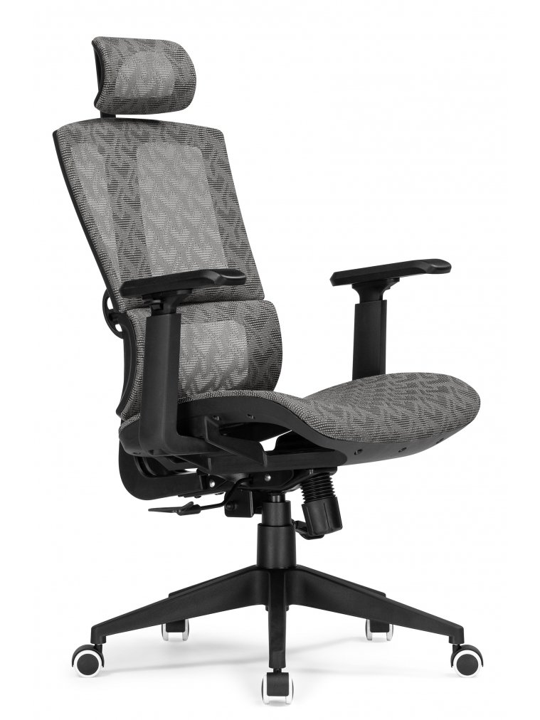 Компьютерное кресло Lanus gray / black