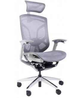 Компьютерное кресло Dvary X