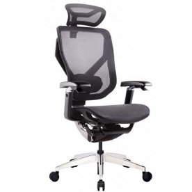 Компьютерное кресло Chair VIDA X