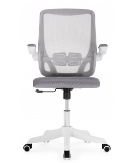 Компьютерное кресло Salem