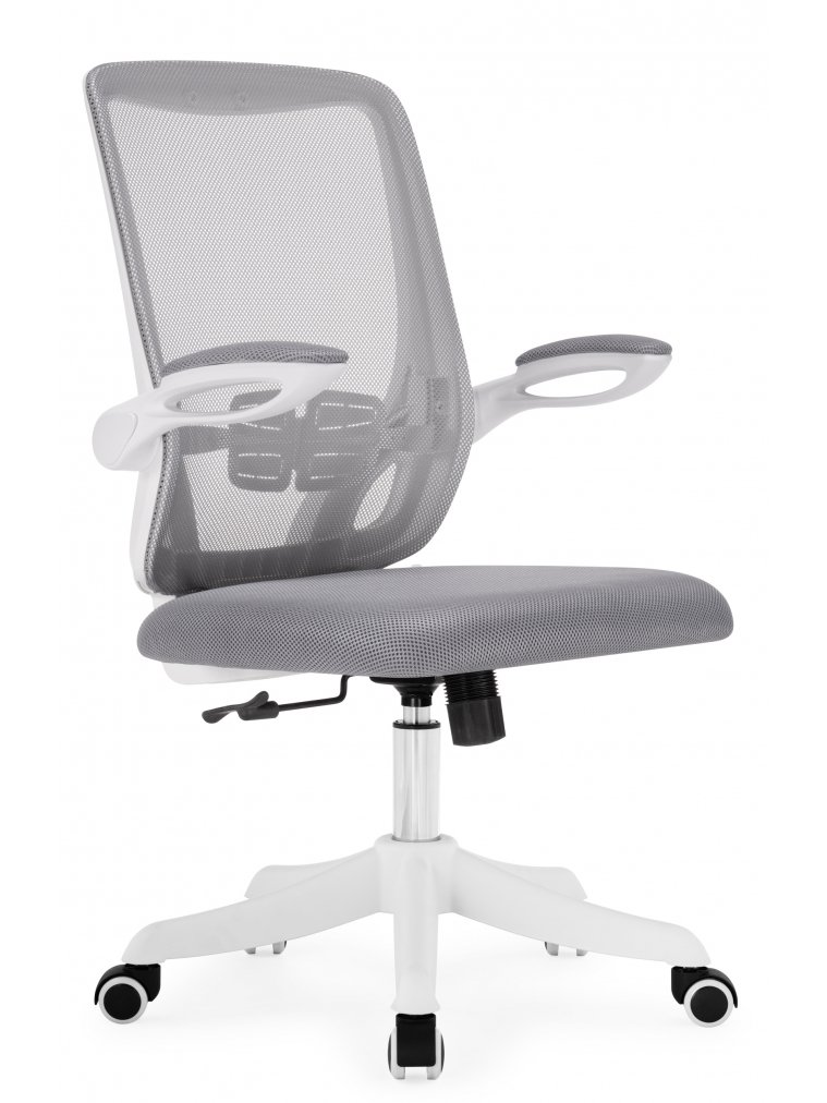 Компьютерное кресло Salem gray / white