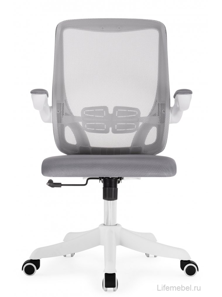 Компьютерное кресло Salem gray / white