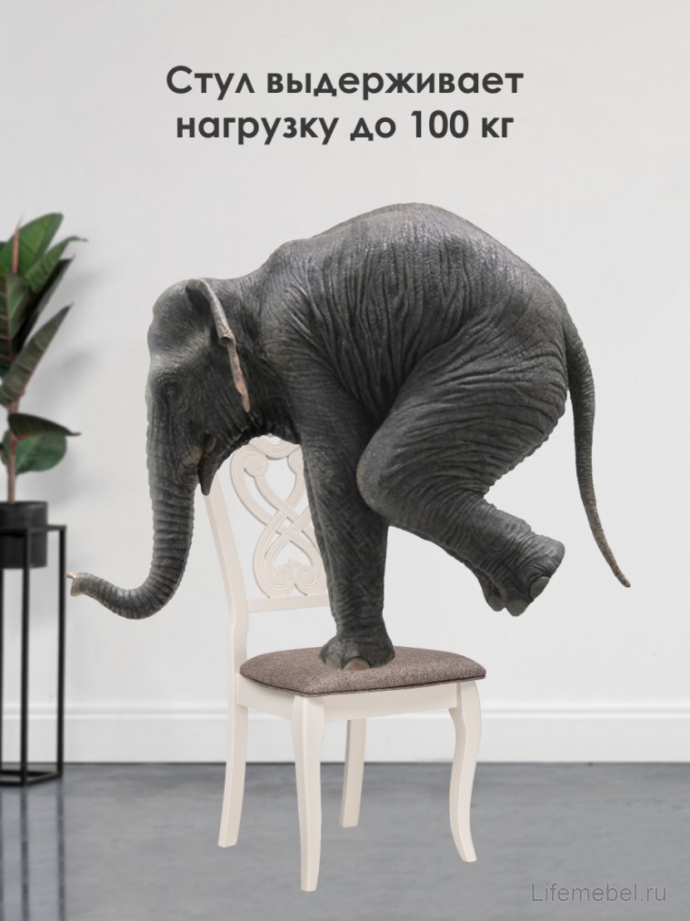 Стул деревянный Андромеда/Andromeda слоновая кость / коричневый S 168-7