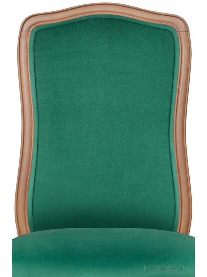 Стул Wenter Green V2