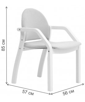 Кресло Джуно 2.0