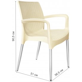 Пластиковый стул SHT-S68/S424-С