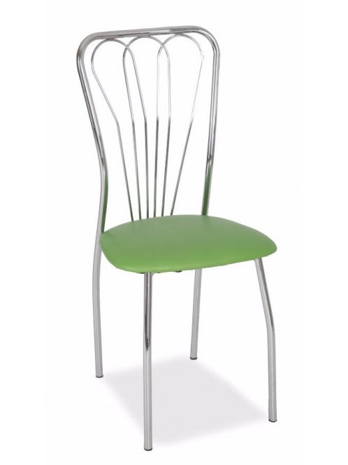 Стул на металлокаркасе DY-B608 green (r83)