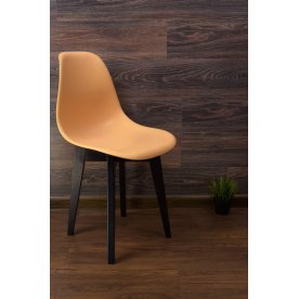 Пластиковый стул Сашш