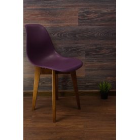 Пластиковый стул Сашш