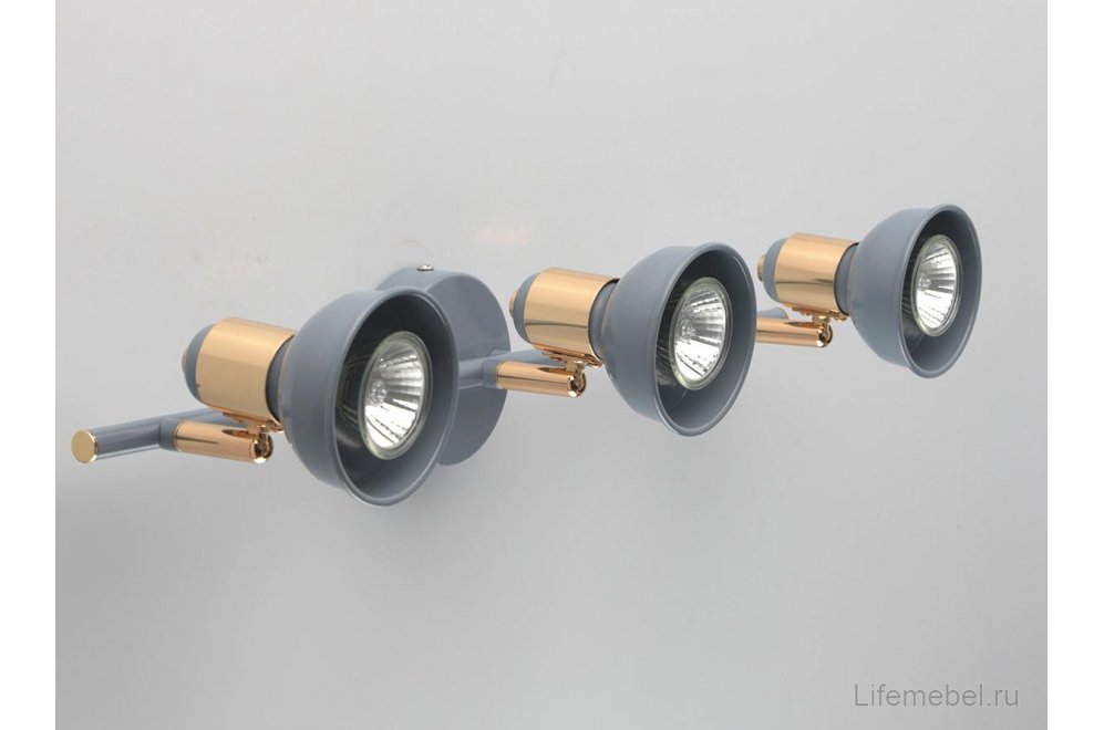 Спот Хоф 552020303