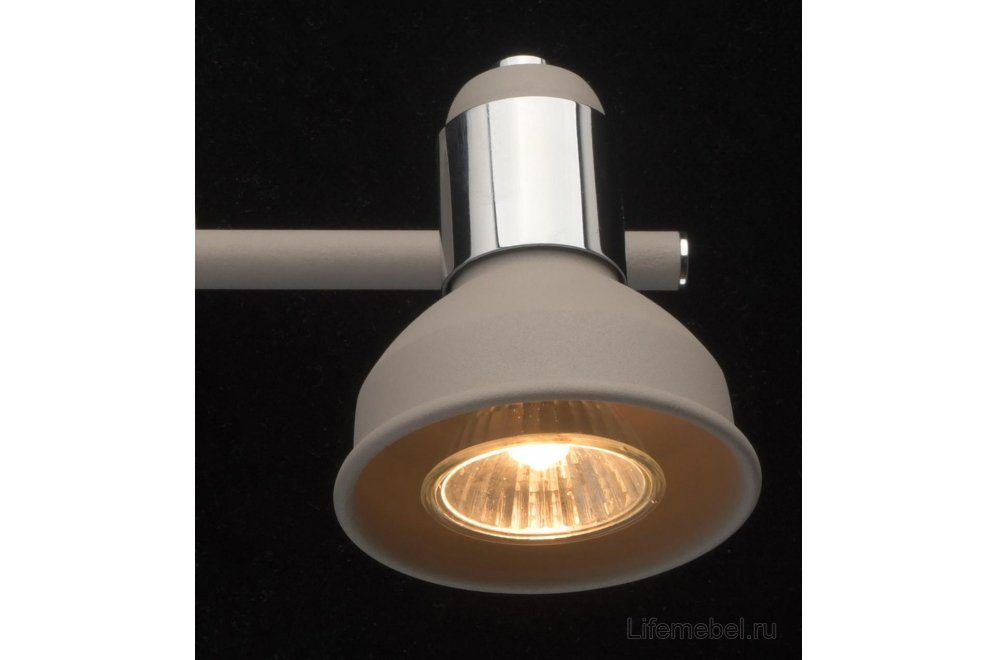 Спот Хоф 552020603