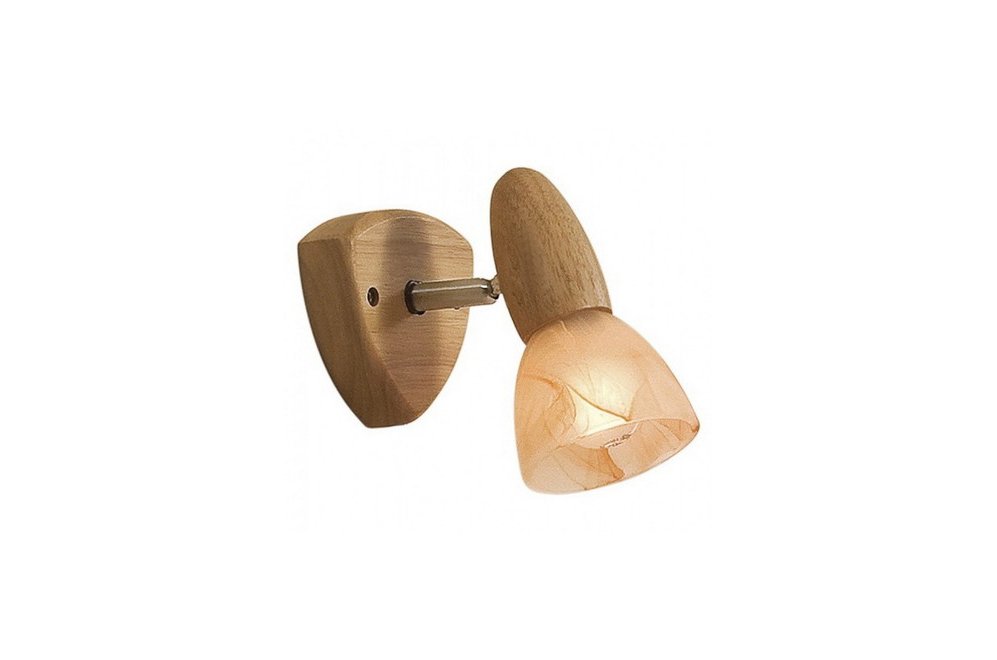 Спот Citilux Монте CL505511