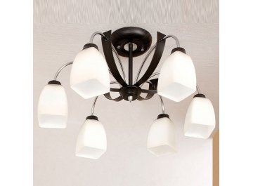 Потолочная люстра Крокус CL128161