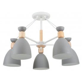 Потолочная люстра Delia FR5033CL-05W