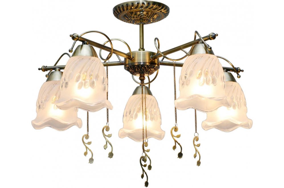 Потолочная люстра Delia TL1195X-05AB