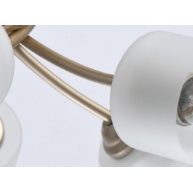 Потолочная люстра Олимпия 638014705