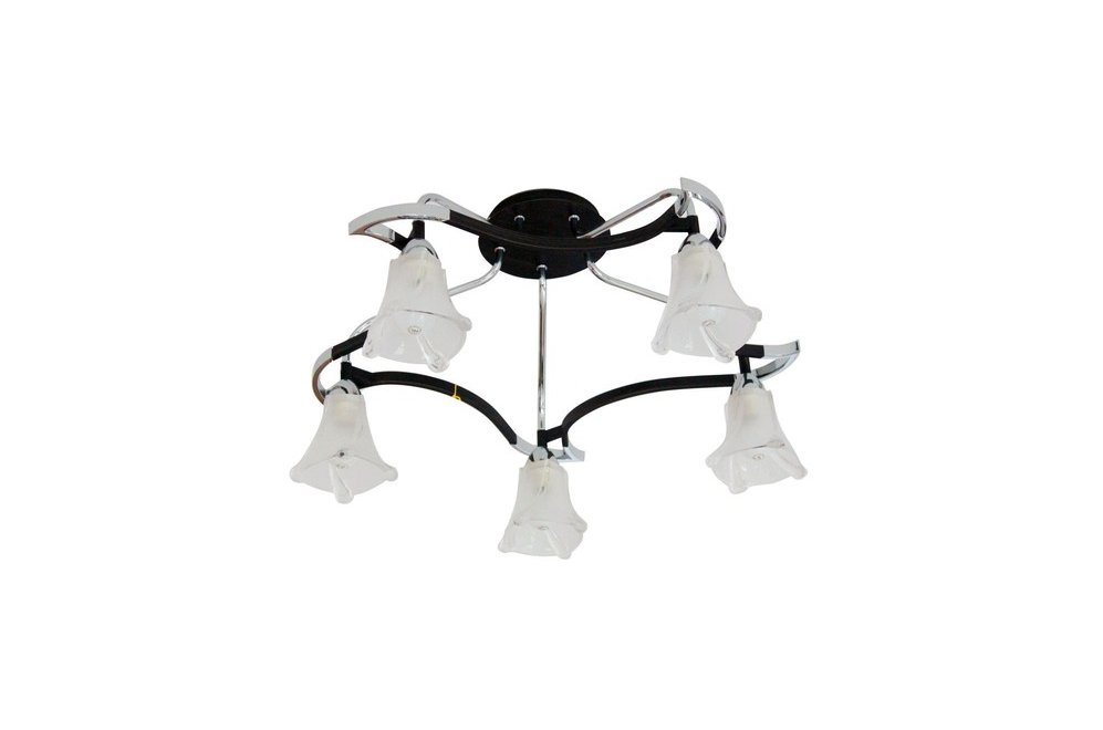 Потолочная люстра ST Luce SL307.702.05