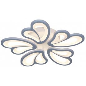 Потолочный светильник Хойя 05833