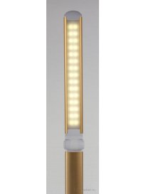 Настольная лампа PH-3607 236685