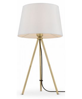 Настольная лампа FR5118TL-01BS
