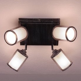 Спот Робин CL535541