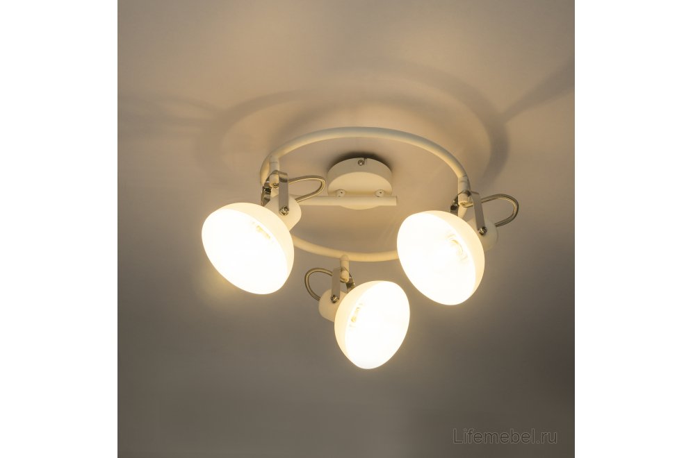 Спот Amory 54657-3