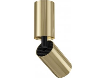 Потолочный спот FOCUS S C051CL-01G