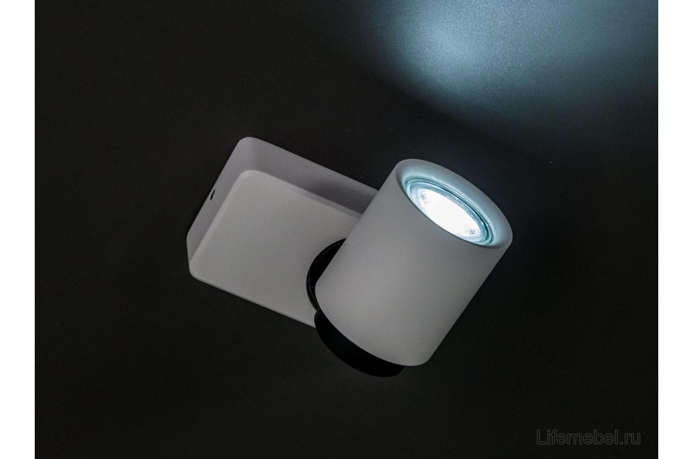 Спот Норман CL533510