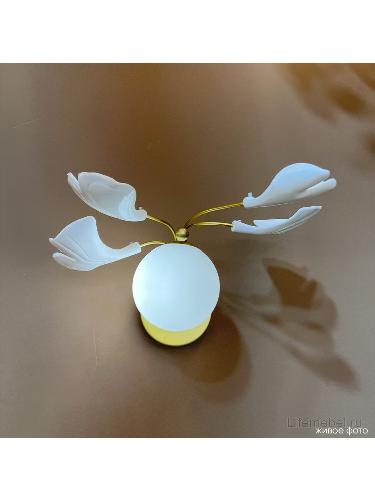 Бра COLIBRI AP1 GOLD