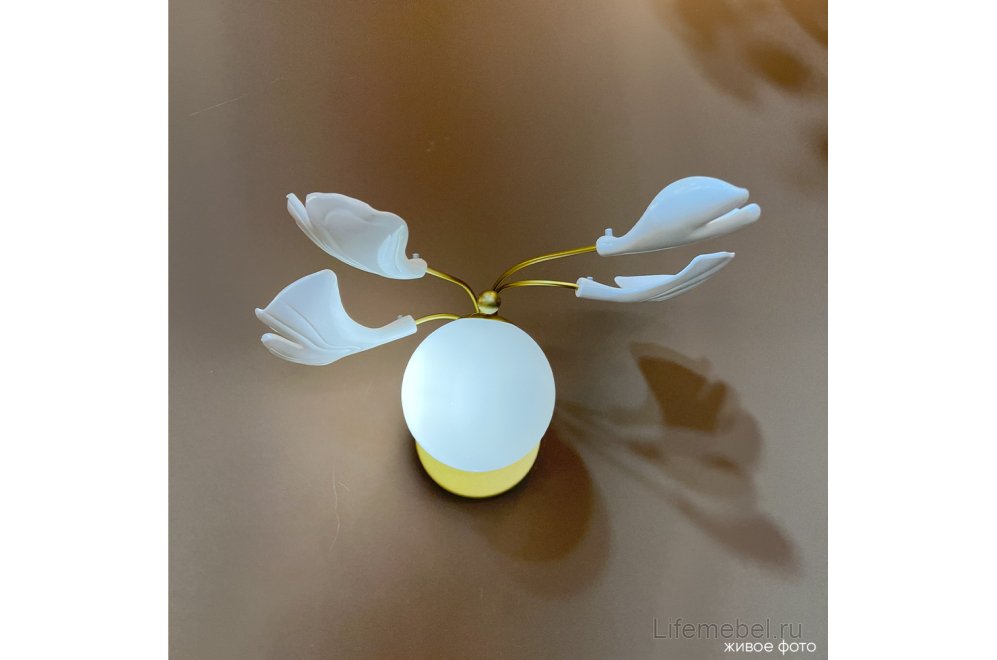 Бра COLIBRI AP1 GOLD