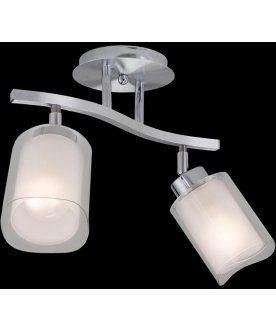 Потолочный светильник Аэлита CL169121