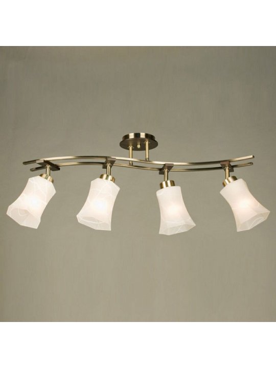 Потолочный светильник Мерида CL142143