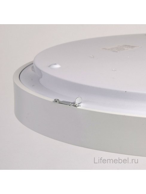 Потолочный светильник Ривз 674013101