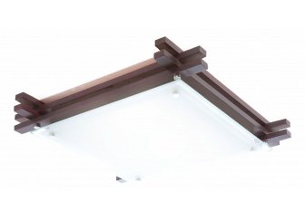 Накладной светильник Edison 48324-2