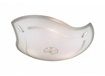 Накладной светильник Meduza 4114