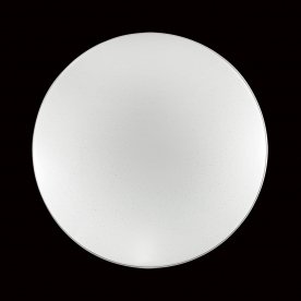 Настенно-потолочный светильник Abasi 2052/CL