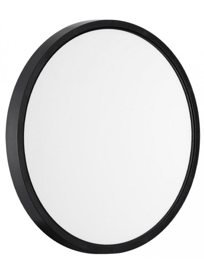 Настенно-потолочный светильник Alfa Black 7660/24L