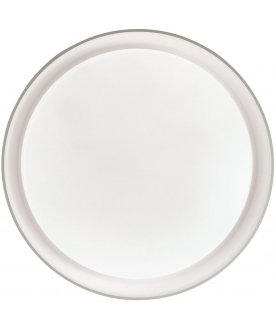 Настенно-потолочный светильник BIONIC 3030/EL