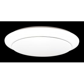 Настенно-потолочный светильник CAPI 3003/DL