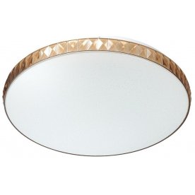 Настенно-потолочный светильник Dina 2078/EL