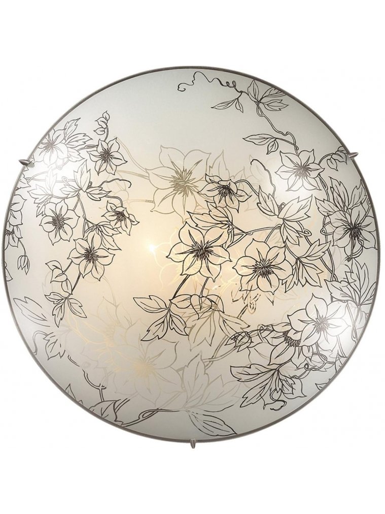 Настенно-потолочный светильник Forti 2211