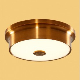 Настенно-потолочный светильник Фостер-2 CL706212